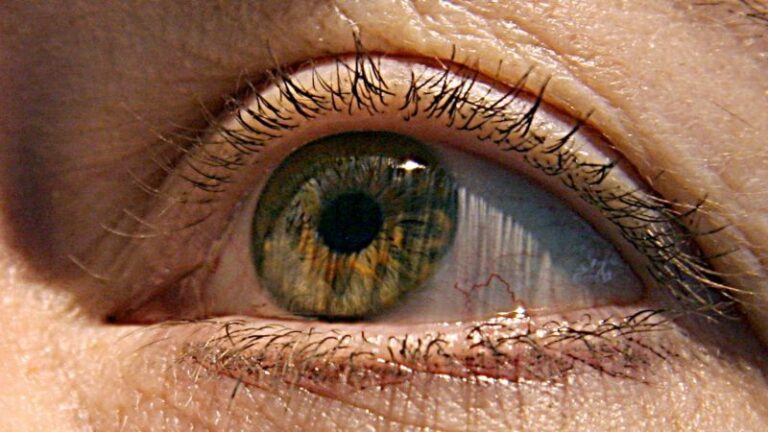 Los primeros signos de Alzheimer pueden aparecer en los ojos, según un estudio