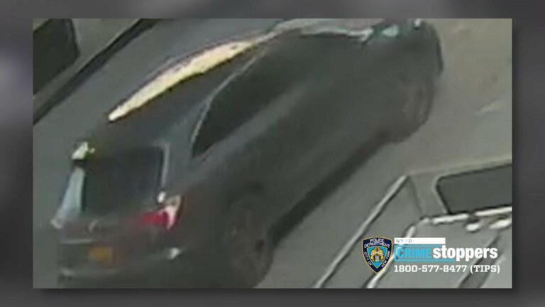 Buscan un chofer de auto que atropelló a una mujer de 81 años