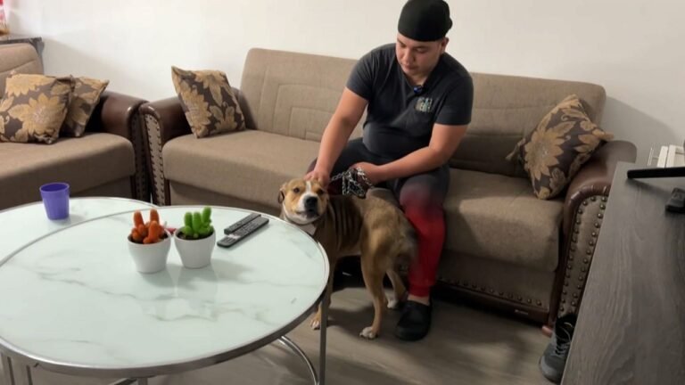 Nunca entendí la gravedad hasta que me pasó a mí: vecino