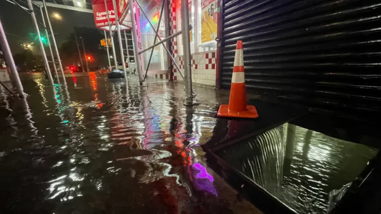 Si vives en NYC ahora podrás recibir alertas en tu teléfono sobre inundaciones peligrosas.