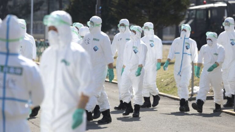 Japón se está quedando sin espacio para enterrar a los pollos muertos por la gripe aviar