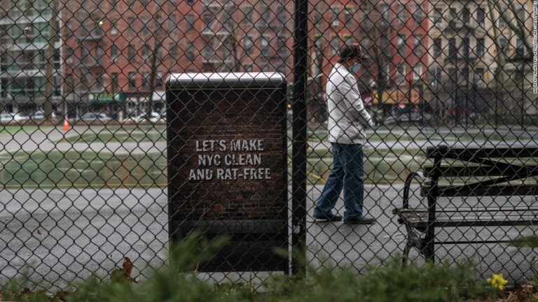 La ciudad de Nueva York nombra a su primer ‘zar de las ratas’