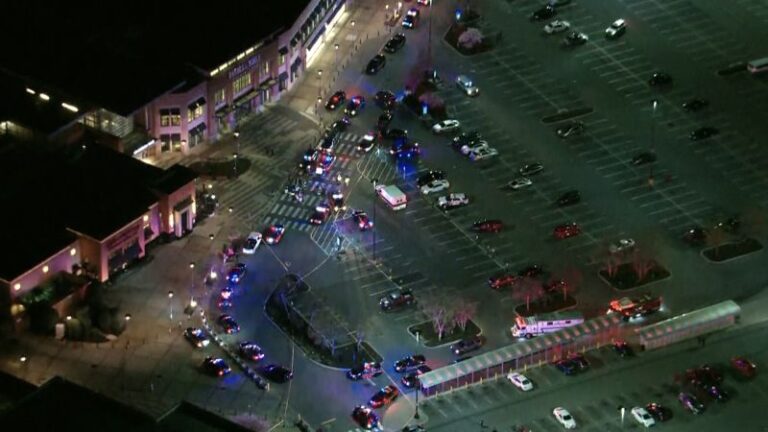 La policía investiga un tiroteo en un centro comercial de Delaware