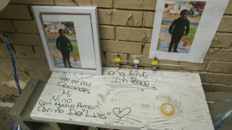Seis arrestos por el asesinato en RD del niño de El Bronx