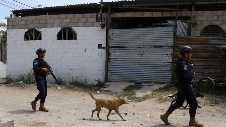 CIDH pide a El Salvador restaurar derechos suspendidos