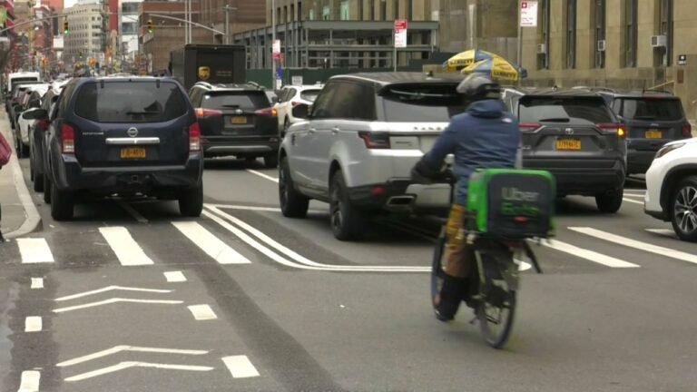 Controversia construcción ciclovía en calle Bajo Manhattan