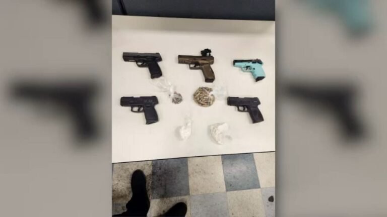 Autoridades desarticulan red de trafico de armas y drogas