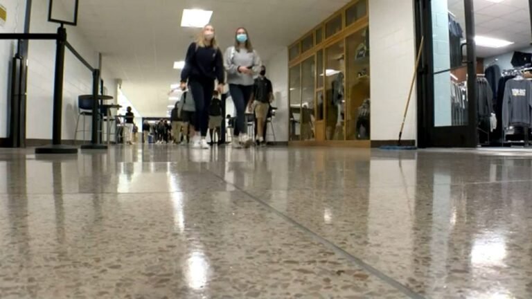 Los inmigrantes podrían estar ubicados en universidades estatales