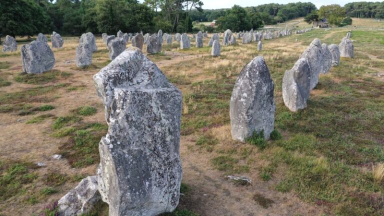 Piedras antiguas removidas en Francia para construir nueva ferretería