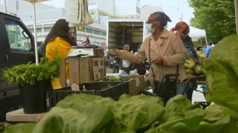 Mercado de agricultores inicia en los cinco condados