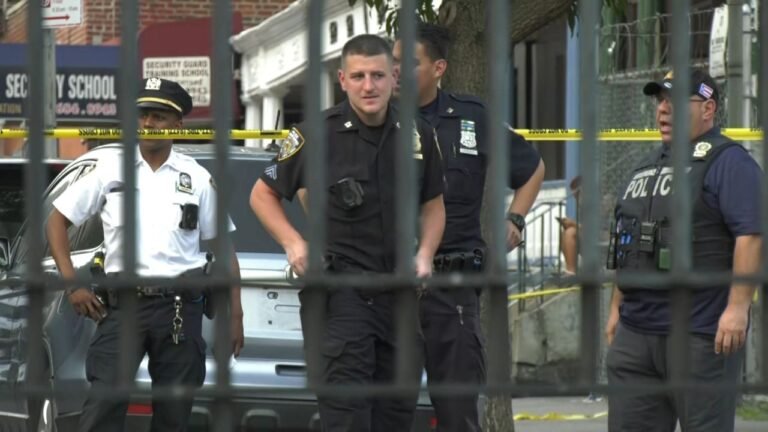 Cuatro heridos, entre ellos dos niños, en tiroteo El Bronx