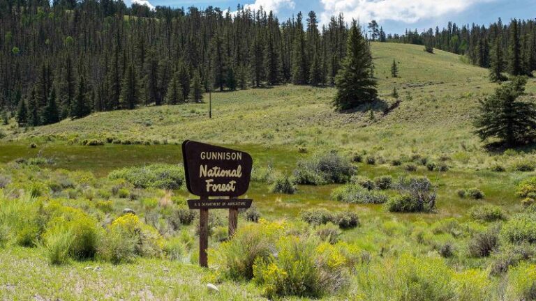 Bosque Nacional Gunnison: las autoridades de Colorado están trabajando para identificar los cuerpos de 3 personas encontradas