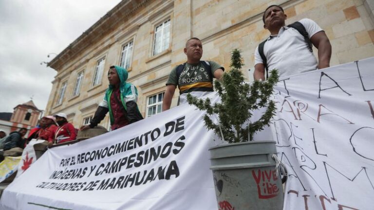 Cultivadores de marihuana en Colombia presionan al gobierno para encontrarles un lugar