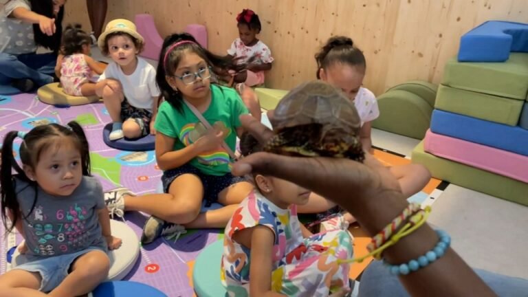 Children’s Museum en El Bronx: ‘celebración de la humanidad’