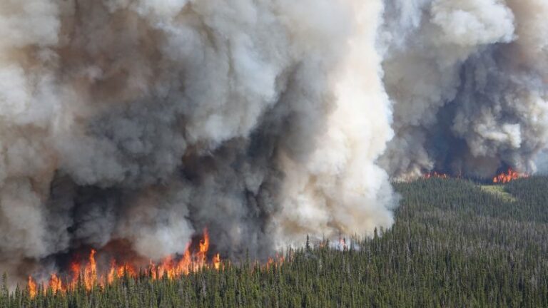 El humo de los incendios forestales de Canadá llega a los EE. UU. y activa nuevas alertas de calidad del aire