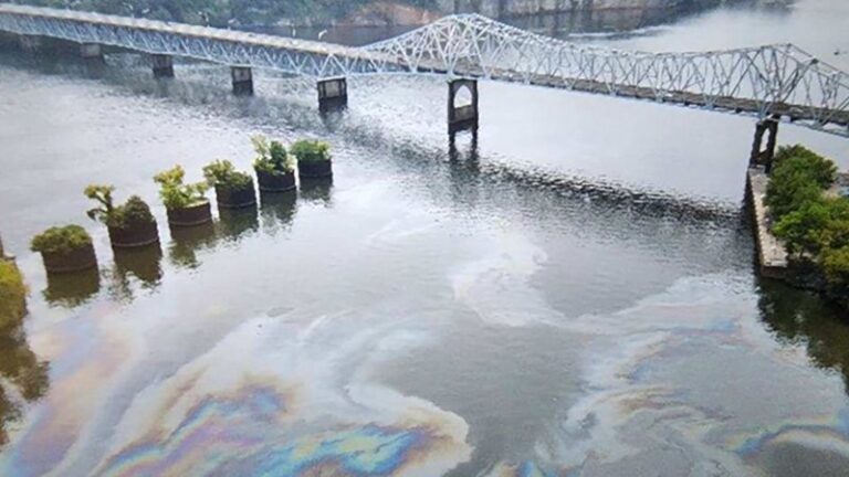 El remolcador que se hunde libera miles de galones de diésel en el río Tennessee, lo que provoca llamadas para que los nadadores salgan del agua