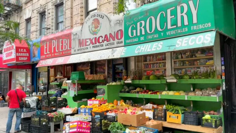 Presencia y crecimiento de la comunidad mexicana en NYC