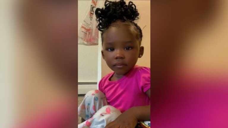 Wynter Cole-Smith: Encuentran el cuerpo de un niño desaparecido en Michigan