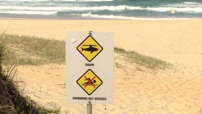 Ataque de tiburón: Surfista lucha por su vida en Nueva Gales del Sur, Australia