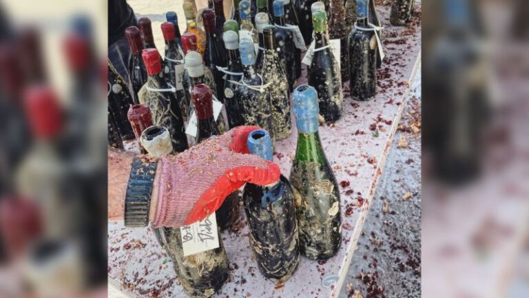 Autoridades de California destruyen 2.000 botellas de vino fermentado ilegalmente bajo el mar
