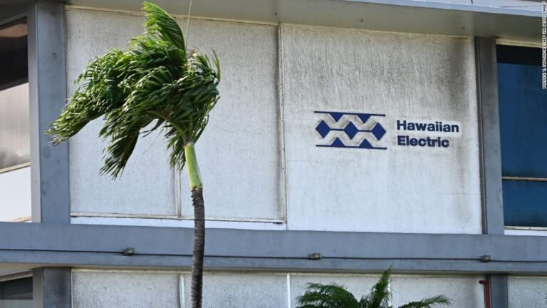 El gobierno de Maui presenta una demanda y acusa a la compañía eléctrica hawaiana de provocar incendios forestales en Lahaina