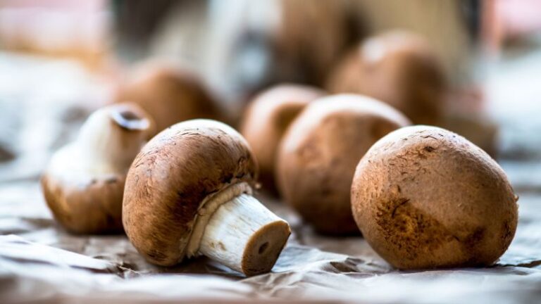 Envenenamiento por hongos ‘Death cap’: la australiana en el centro del caso dice que compró hongos en una tienda de comestibles y un supermercado