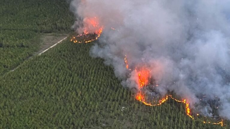 Evacuación de Merryville: Los incendios forestales obligan a evacuar una ciudad del suroeste de Luisiana en medio de una sequía extrema