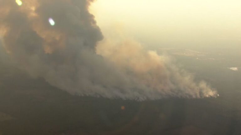 Game Preserve Fire: Un incendio forestal provoca evacuaciones en Huntsville, Texas