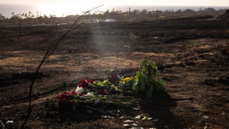 Incendios forestales en Maui: el número de muertos disminuye de 115 a 97
