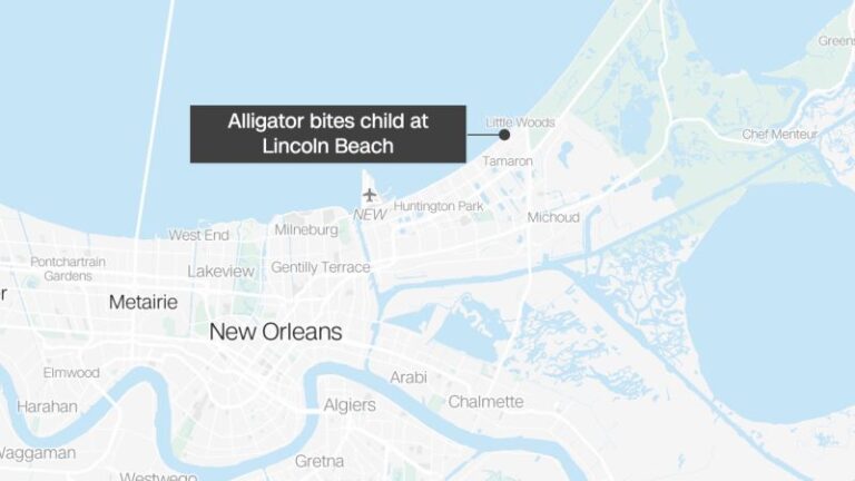 Un caimán muerde a un niño en una playa cerrada en el área de Nueva Orleans, dicen las autoridades