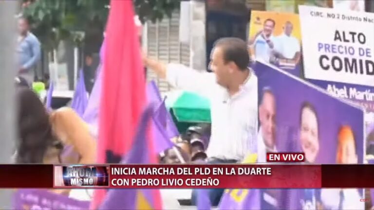 Danilo Medina,  Abel Martínez  Y  Margarita Cedeño encabezan marcha de la esperanza  por el PLD