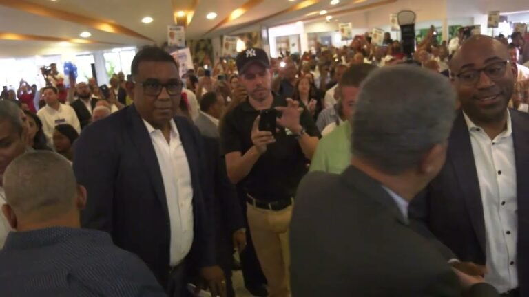 BIS aprueba de manera oficial llevar a Leonel Fernández como candidato presidencial en alianza