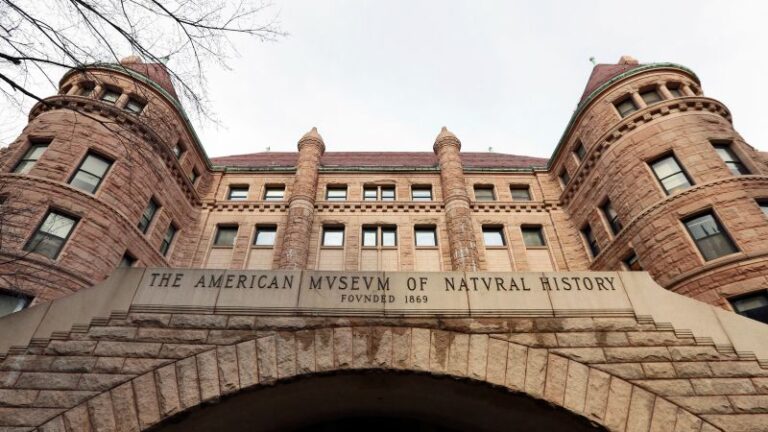 El Museo Americano de Historia Natural de Nueva York retirará restos humanos de las exhibiciones, incluidos algunos de indígenas y negros esclavizados
