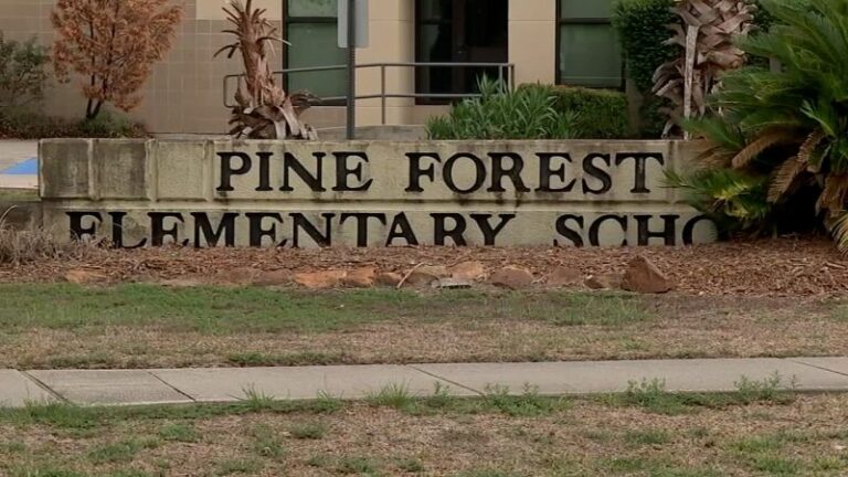 Renuncia de gomitas de melatonina: maestra de la escuela primaria Pine Forest en Texas renuncia después de dar gomitas a los estudiantes, dice el distrito escolar