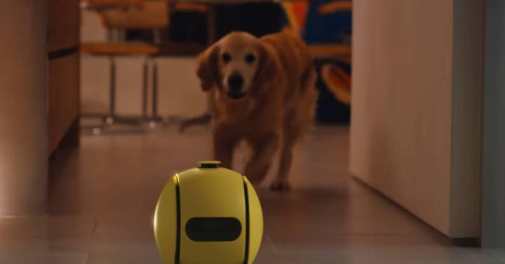Ballie, el curioso robot inteligente con proyector de Samsung que te ayuda con las tareas |  Artilugio