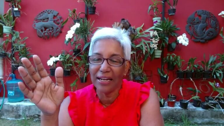 Abinader 64, Leonel 19, Abel 12, El patio, marzo 14, 2024