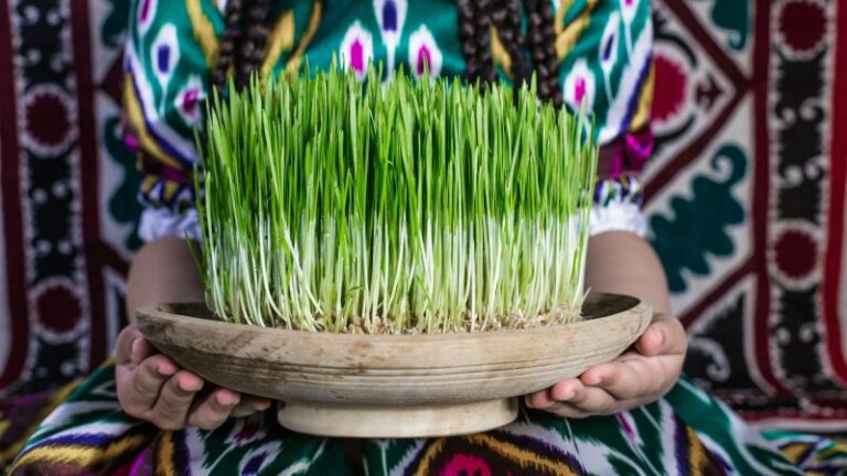 ¿Qué es el Nouruz?  Tradiciones y comida del Año Nuevo persa explicadas