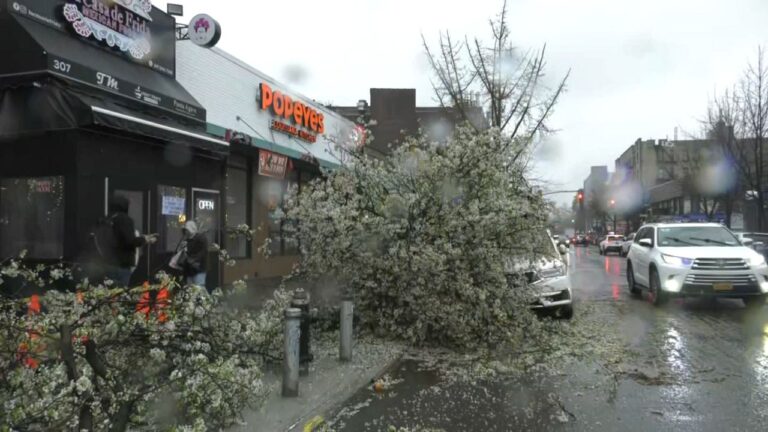 Tormenta y fuertes vientos causan daños en vecindarios