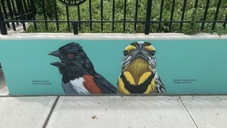 Mural en Red Hook para concientizar sobre las aves amenazadas