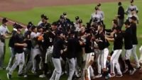 Bobo durante el partido entre Yankees y Orioles (video) – Remolacha