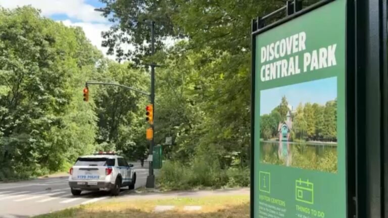 Aumentan los robos en Central Park y delitos graves