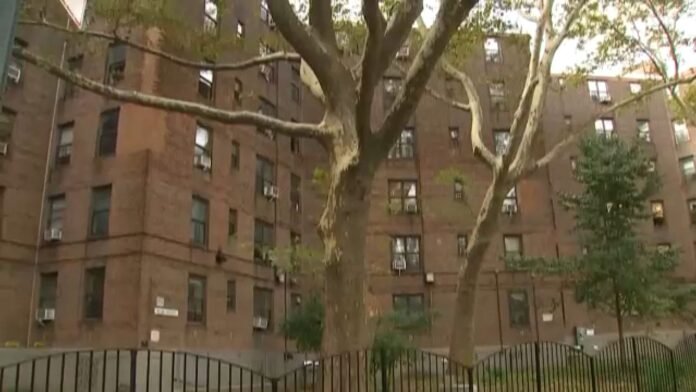 nycha-1.jpeg