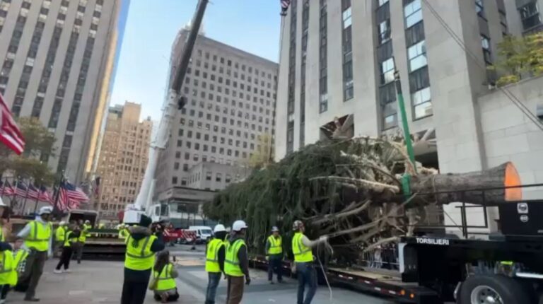 El Árbol de Navidad del Rockefeller Center llega a la ciudad