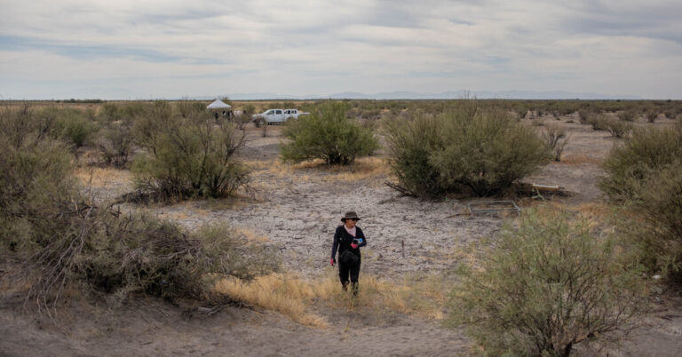 En el desierto mexicano, excavando en busca de un 'milagro': traer a los desaparecidos de regreso a casa