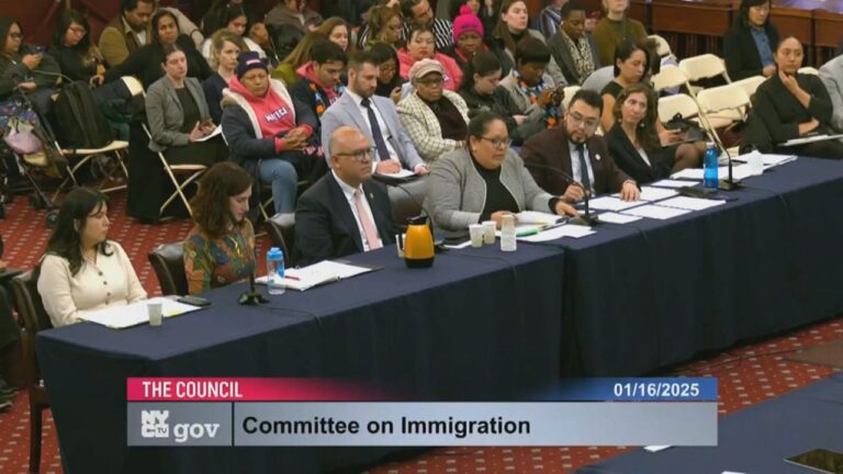 Audiencia en Concejo Municipal sobre inmigrantes