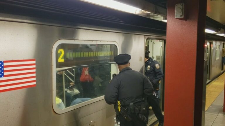 Aumentará la presencia policial en el metro a partir del lunes