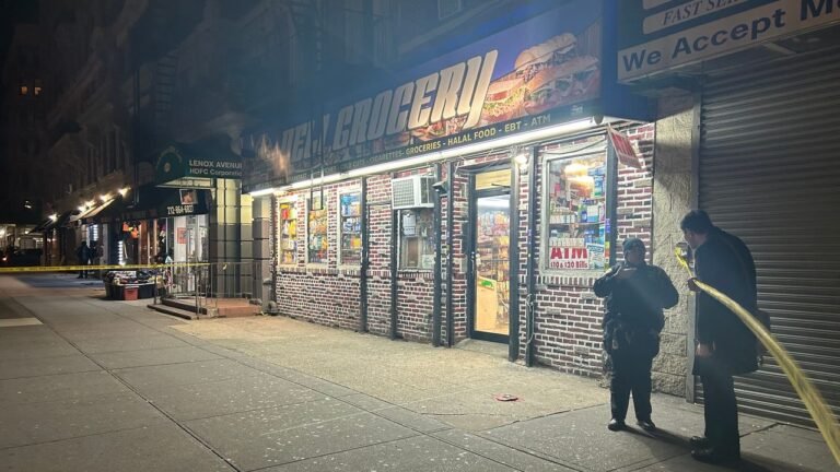 Apuñalan de muerte a cartero en bodega en Harlem
