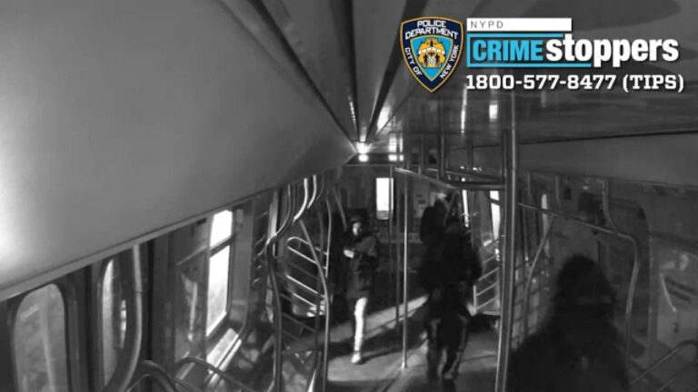 Pandilla de adolescentes vandaliza un tren en Queens