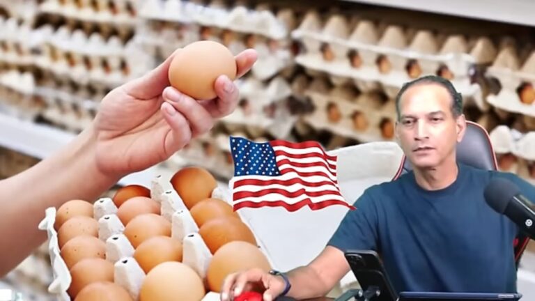 Por qué hay una Crisis de Huevos en USA ?