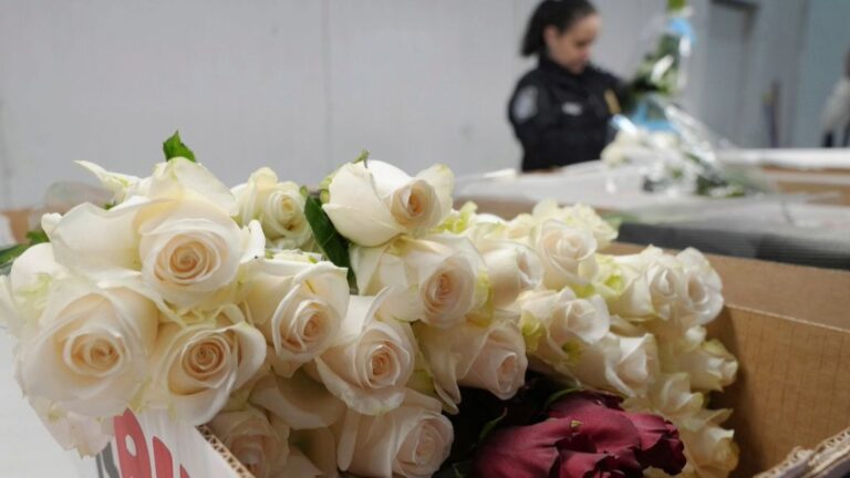 940 MILONES DE FLORES LLEGAN A Miami para San Valentín